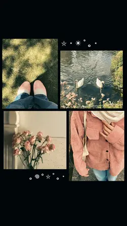 4 pict aesthetic 