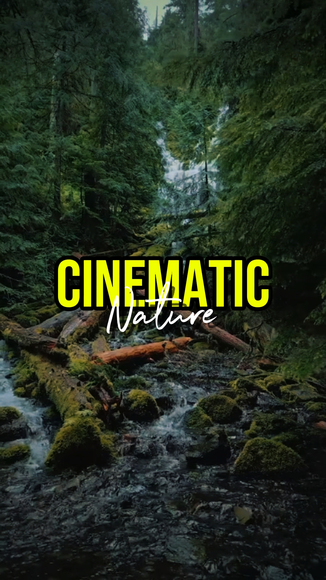 cinematic