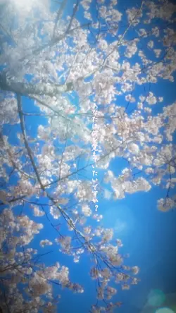 🎧♬憂い桜♬セリフ♬