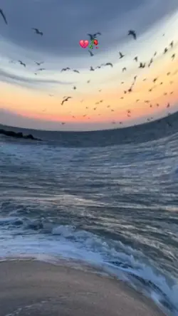 viral şablon