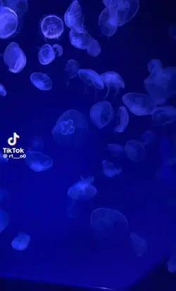 強くなりたかった訳じゃない＿…。