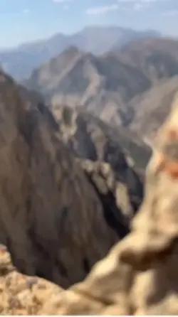 🤍