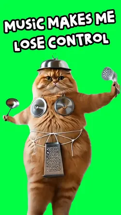 CAT IN POTS AND PANS