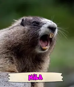 MILA