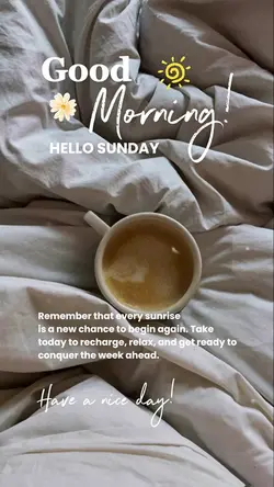 Hello Sunday ☕️