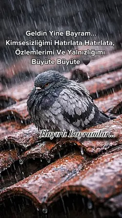 Hayırlı Bayramlar...