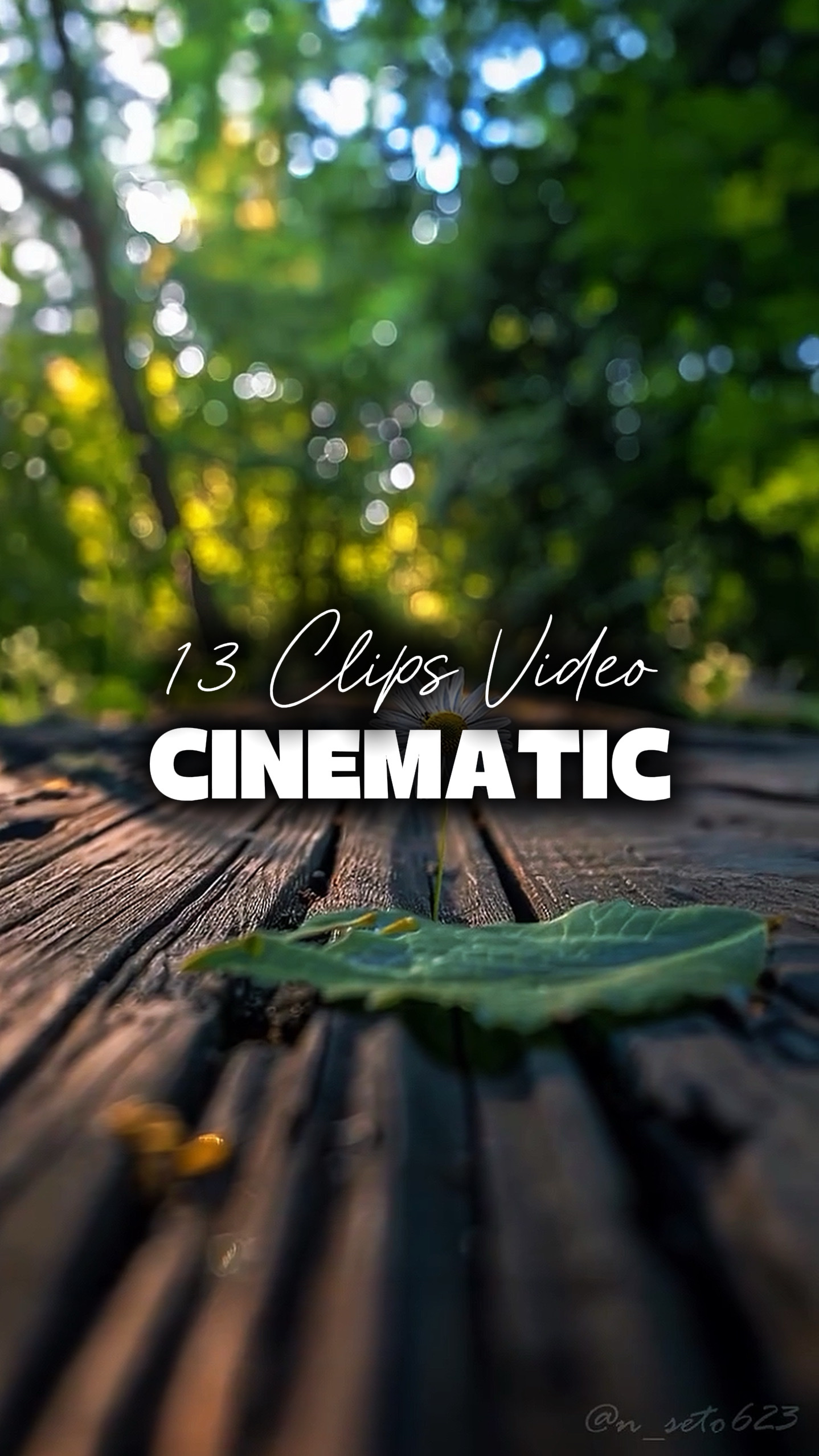 13 Videos Kinoisch 
