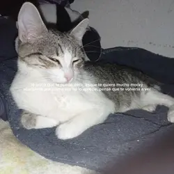 tngo ganas de llorar