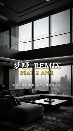 梦哑 REMIX
