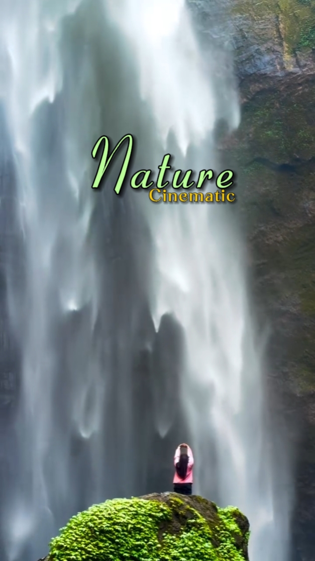 Cinematic Nature