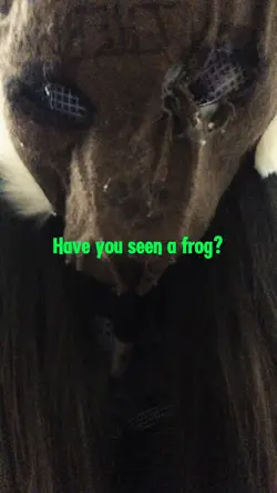 Have u seen a frog?