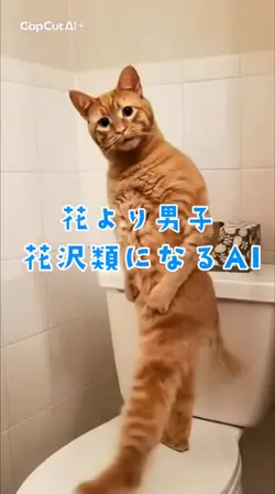 🌸花より男子🍡