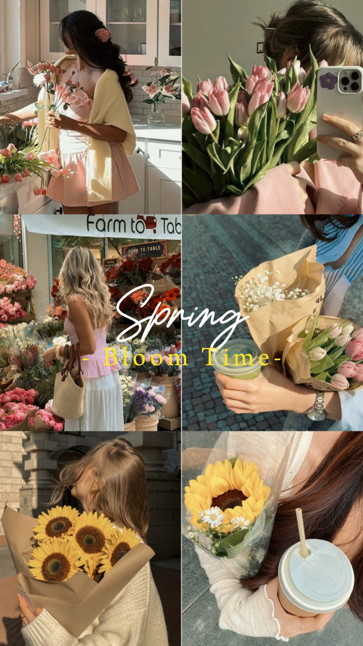 Spring bloom time