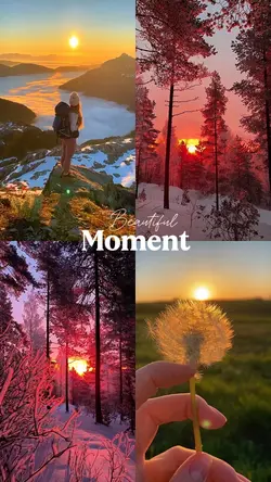 Beautiful Moment