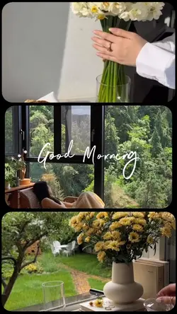 Good Morning 