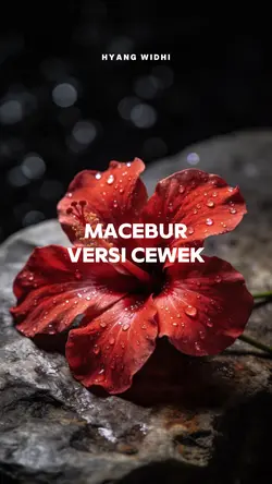 macebur