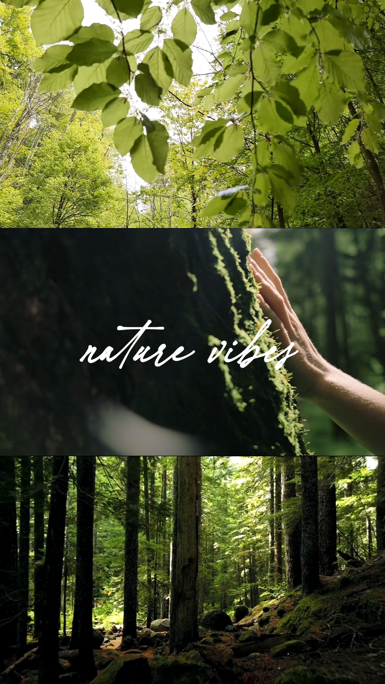 Natur Vibes