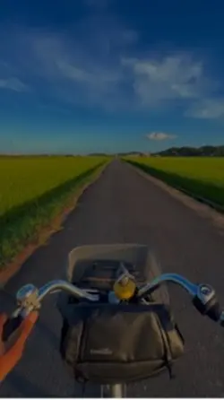 Japan vines