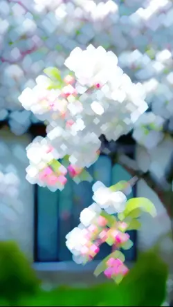 4k filter effect 