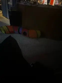 he’s so fine 💔💔😍