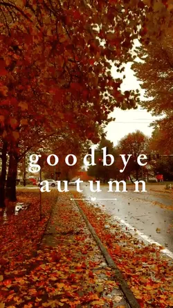 goodbye autumn