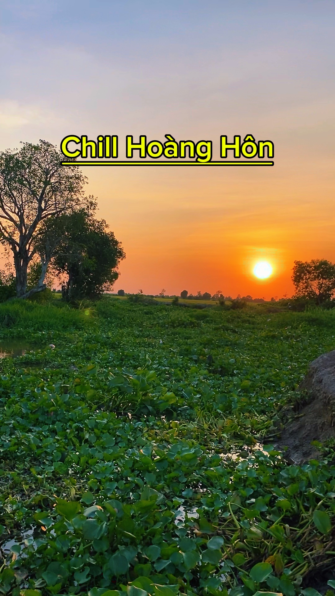 Chill Hoàng Hôn 