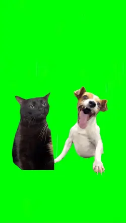 Green Screen Meme
