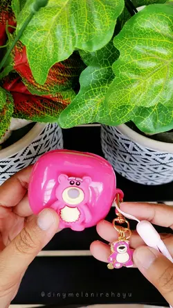 case earphone