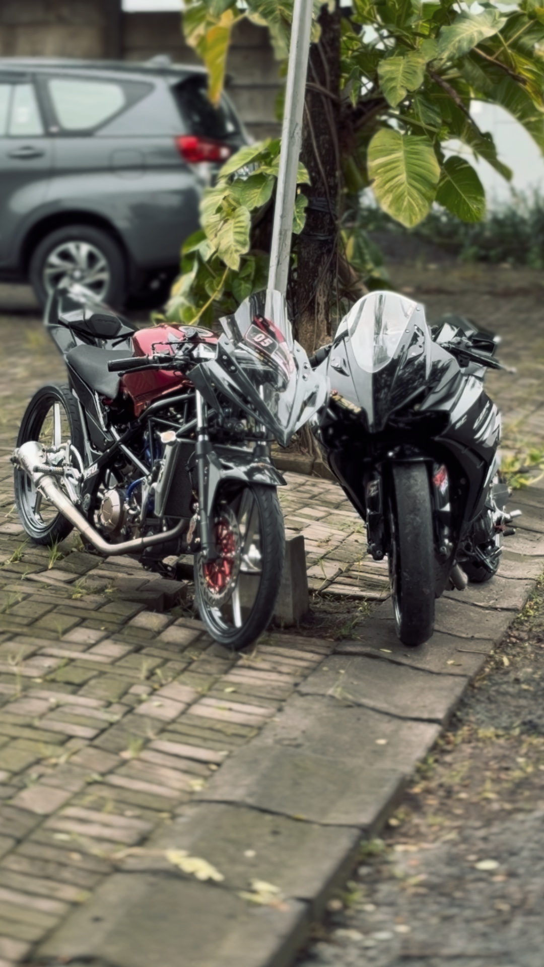 jogja istimewa 