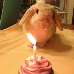 𝐇appy 𝐁irthday !