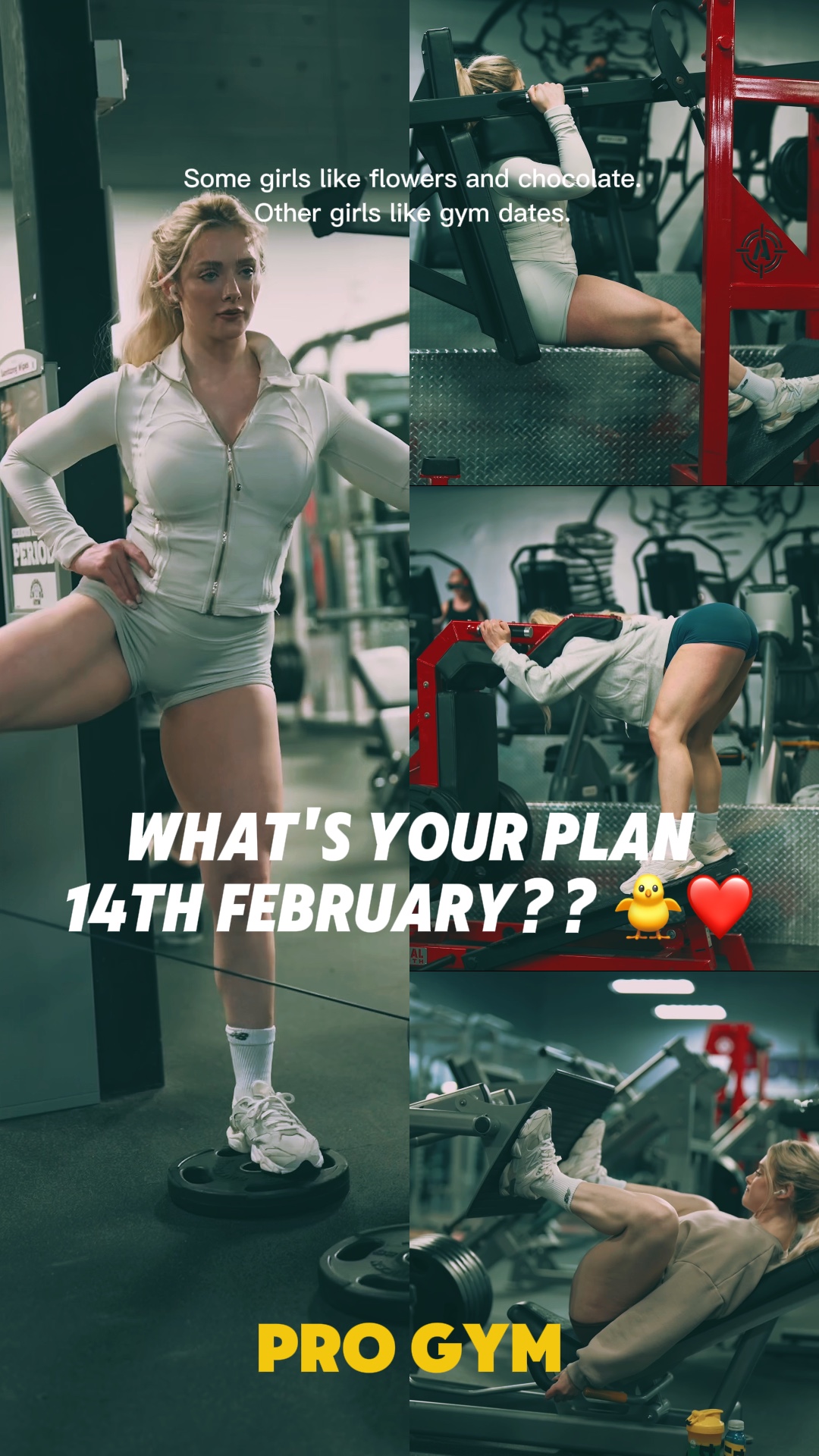 GYM PRO | VALENTINE 