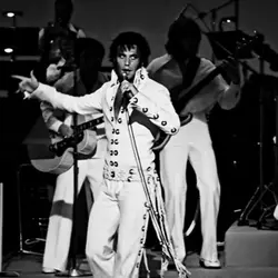 Elvis 