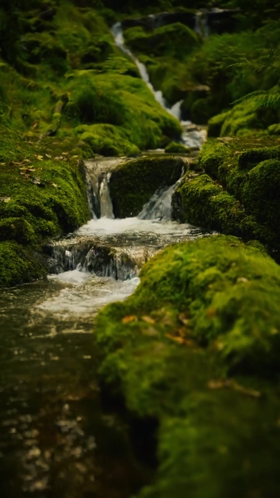 Cinematic nature 