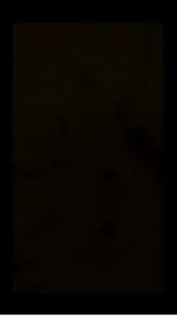 Tu Primera Comunión