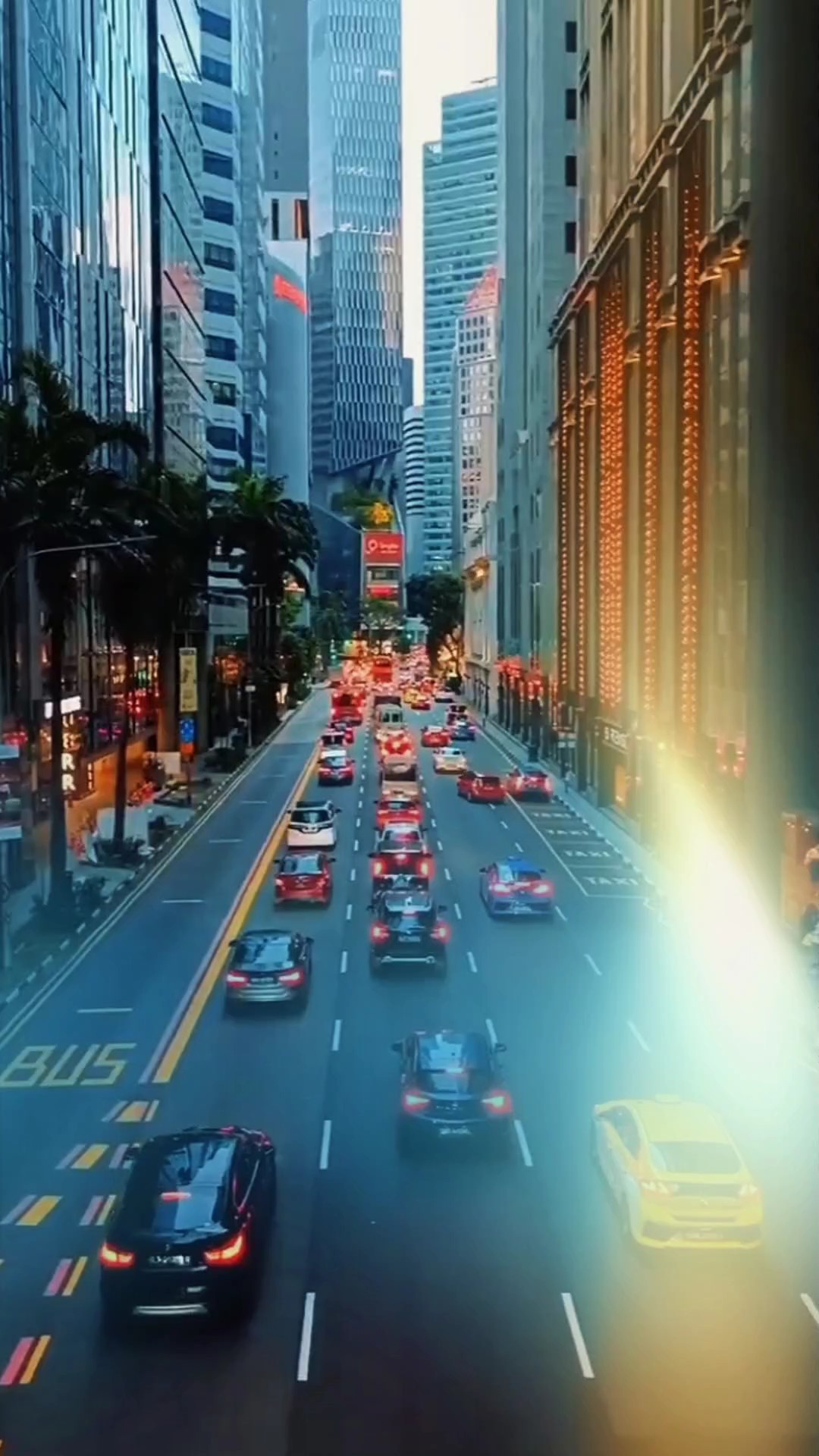 epic transition 