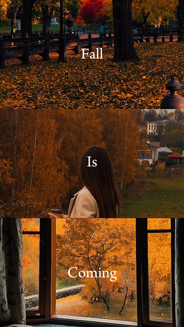 Fall is coming 