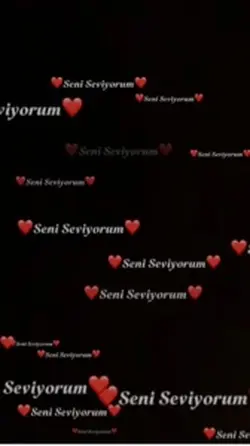 Seni seviyorum
