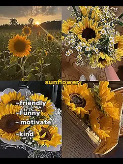 My flower