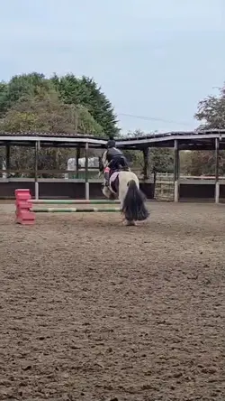 ⚠️FAKE⚠️AI GENERATED⚠️⚠️