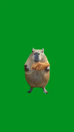 chicken wing