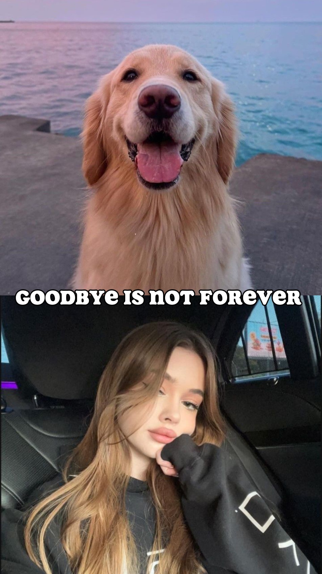 再见。 👋 