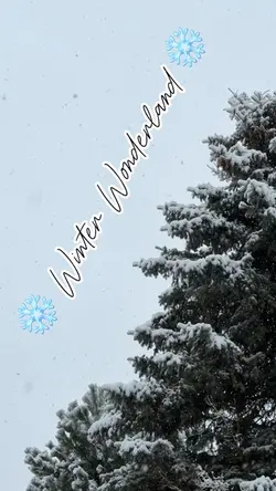 ❄️Winter Wonderlan