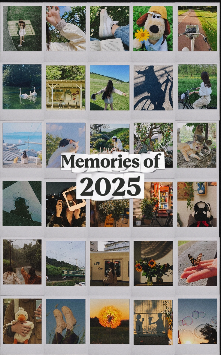 2025년의 추억