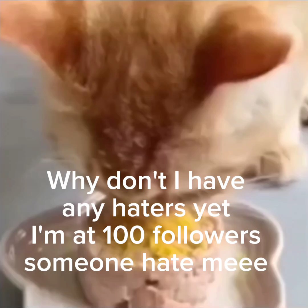 where my haters at