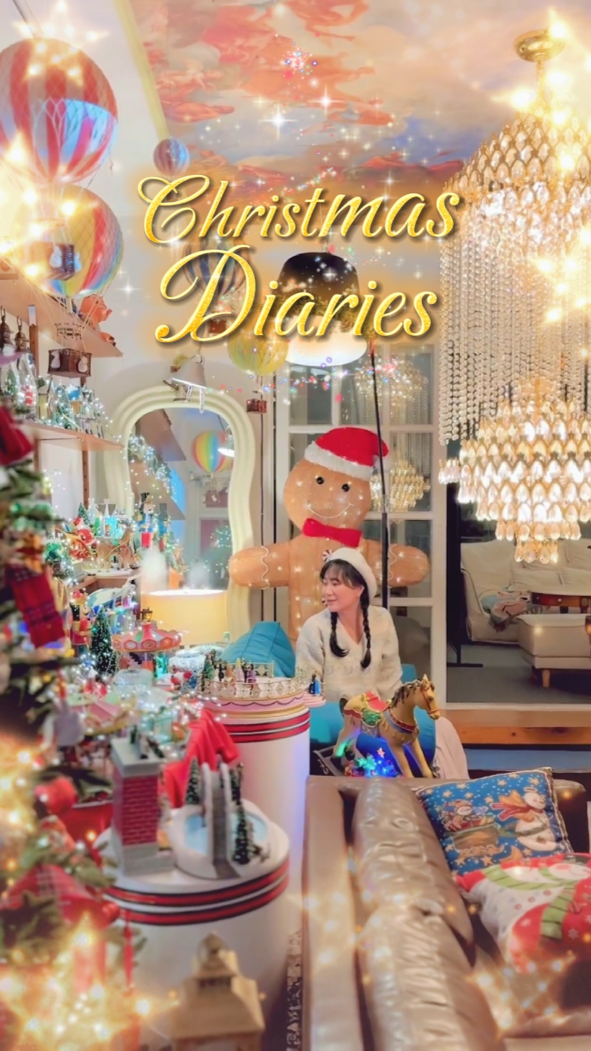14 christmas diaries