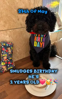 BIRTHDAY