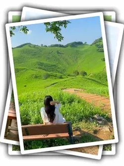 12Pic Clip Aesthetic