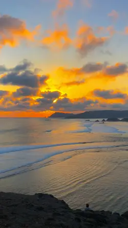 Video sunset estetik