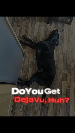 Do you get Deja vu?