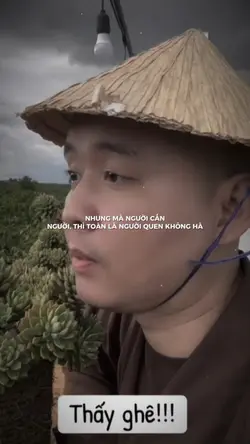 Chó cắn người thì